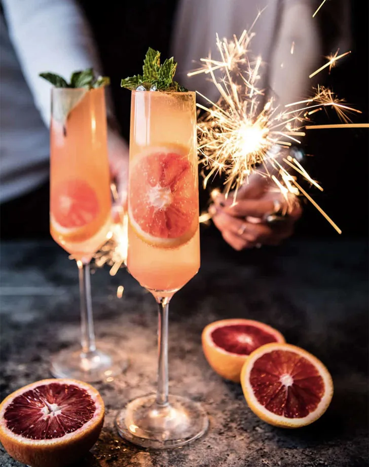 Front Page -Gaia Sales Store blood orange champagne mule