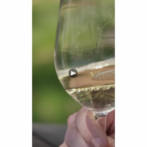 Crossbarn Sonoma Coast Chardonnay 2021 5 Crossbarn Sonoma Coast Chardonnay 2021 - Image 3